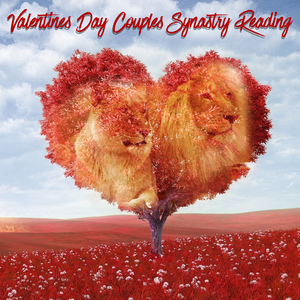 Valentines Day Couples Synastry Reading Special